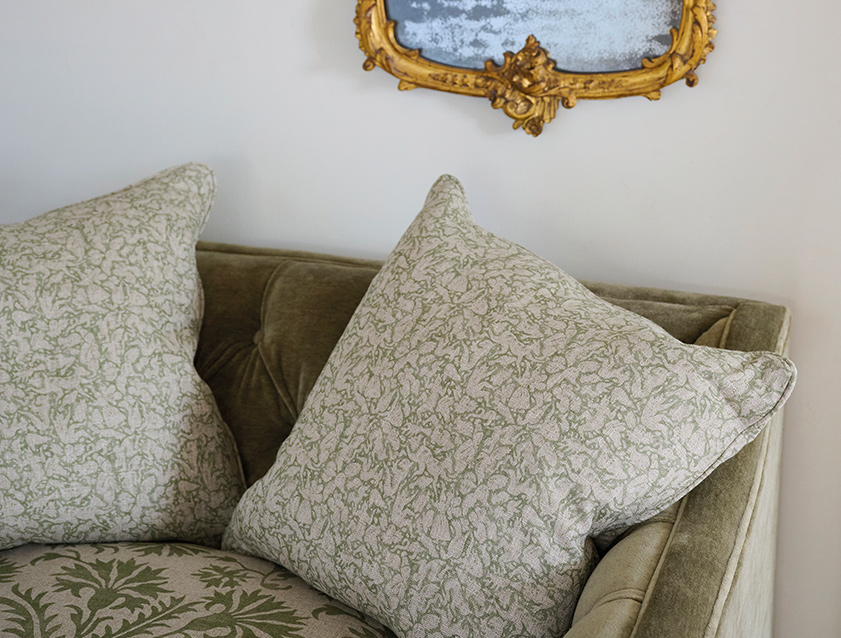 Scatters in Spill Resistant RHS Gertrude Jekyll Folklore Olive